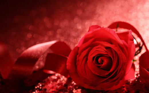 905522 (a): :2880x1800